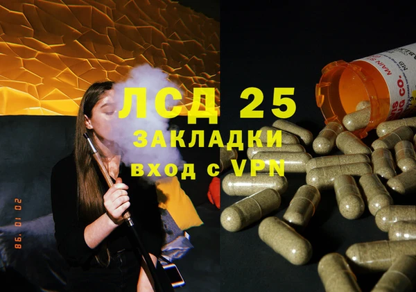 мяу мяу мука Баксан