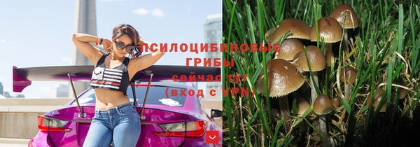 мяу мяу мука Баксан