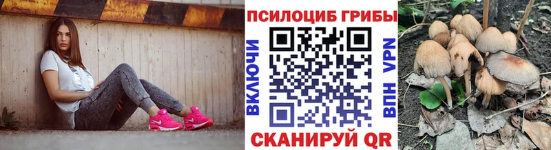Галлюциногенные грибы Cubensis  Зеленогорск 